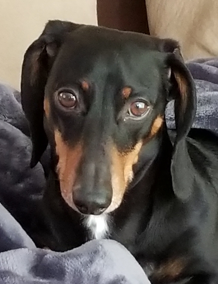 Frankie