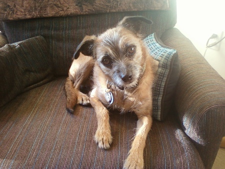 Twyla