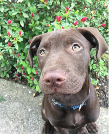 Charlie
