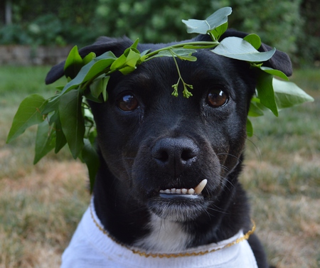Zeus