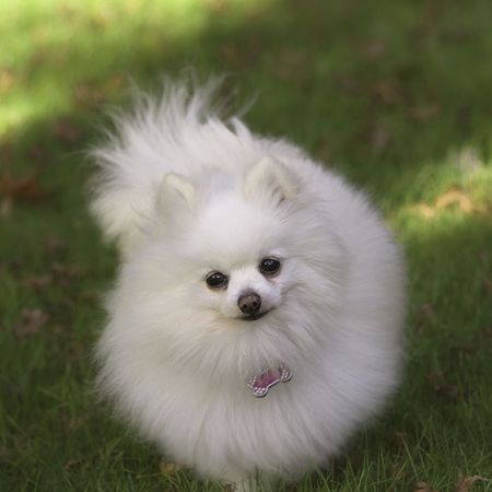 Molly