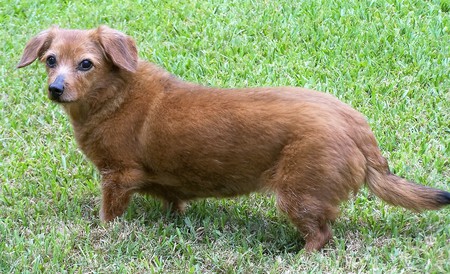 Toto