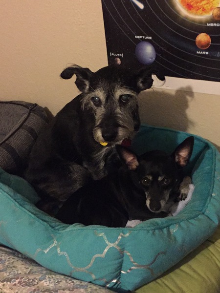 Chula & Malcolm