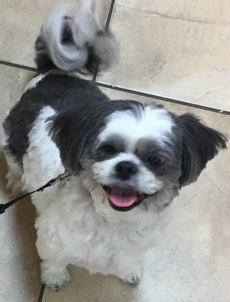 Molly