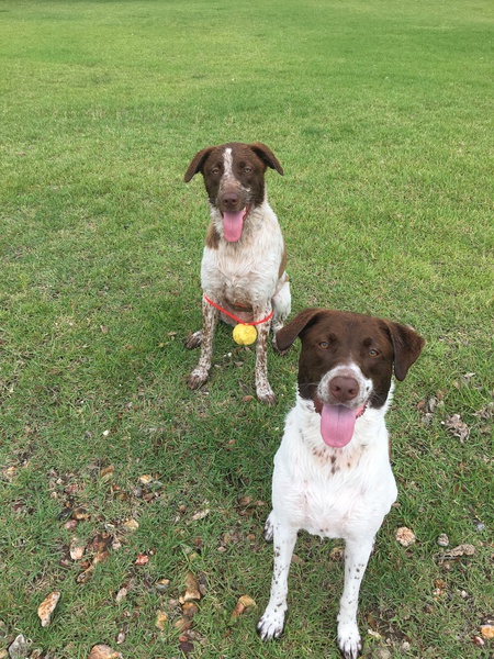 Jagger & Brodie