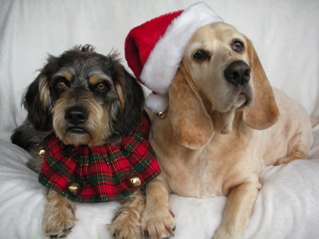 Emmitt & Hurley