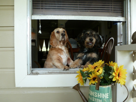 Emmitt & Hurley