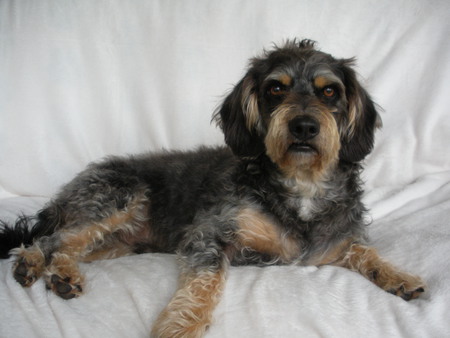 Emmitt 