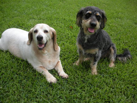 Hurley & Emmitt