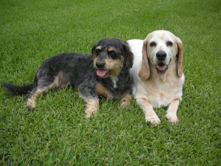 Emmitt & Hurley