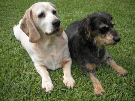 Hurley & Emmitt