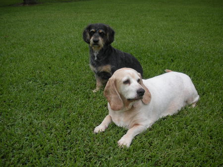 Emmitt & Hurley