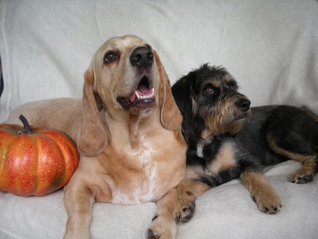 Hurley & Emmitt