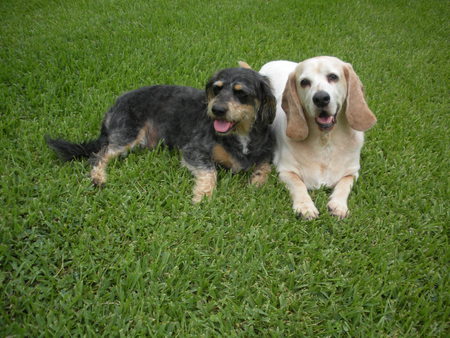 Emmitt & Hurley