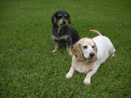 Emmitt & Hurley
