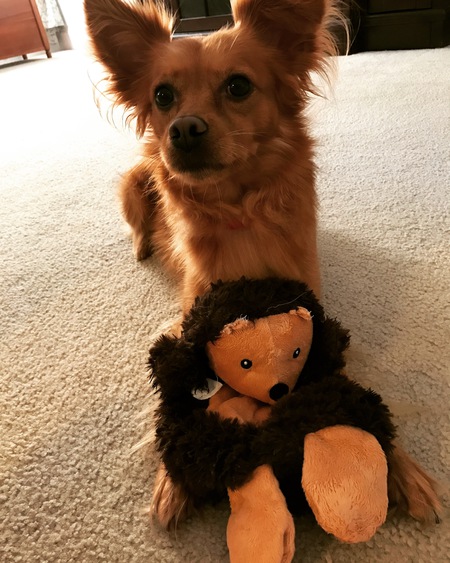 Cooper