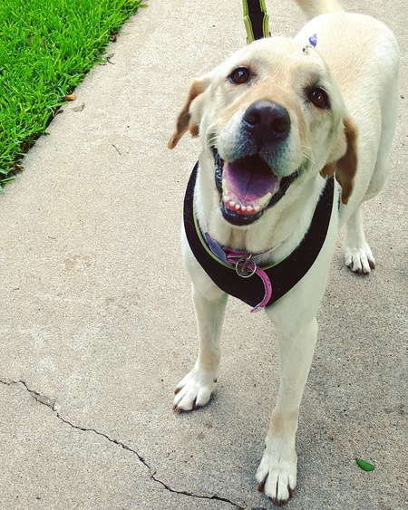 Gabby