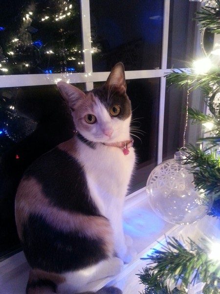 Lucy