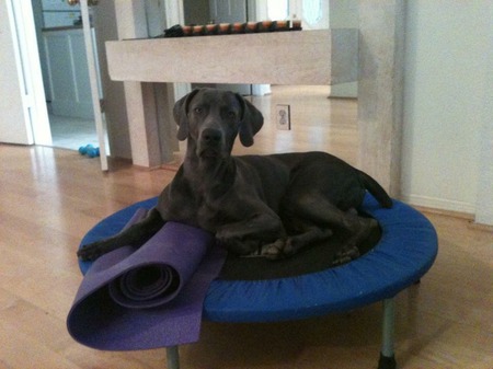 Farley Ansel Von Pendergrass