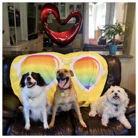 Brady, Punky & Harry