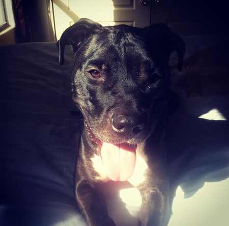 Sammy