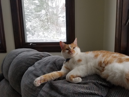 Colby Jack
