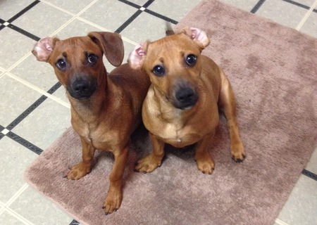 Buddy and Sally