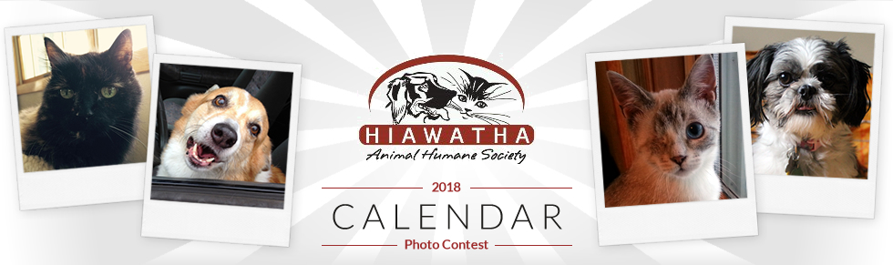 Banner for H.A.H.S. Photo Contest