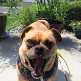 Entry image for Khloe 