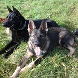 Entry image for Emma and Rudy