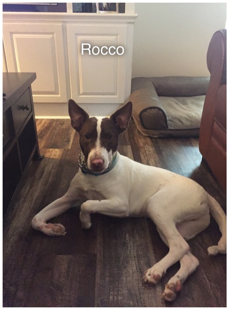 Rocco