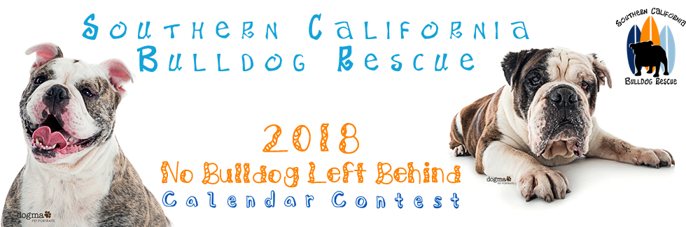 Banner for No Bulldog Left Behind 2018 Calendar Contest