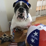 Entry image for Buckwild