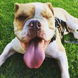 Entry image for WINKston