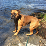 Entry image for Georgia