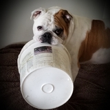 Entry image for Walter 