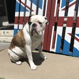 Entry image for Caesar