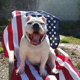 Entry image for Junior