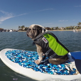 Entry image for Winston