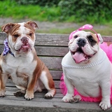 Entry image for Sandy & Rupert