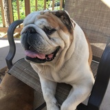 Entry image for Chunk