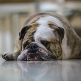 Entry image for Miles