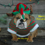 Entry image for The Mud Bug   (aka Punkin)