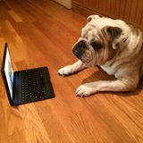 Entry image for Miss Stella Beach