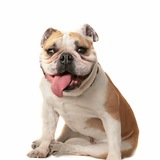 Entry image for Katie