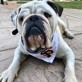 Entry image for Posey