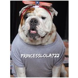 Entry image for Lola