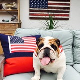 Entry image for Sherlock Holmes