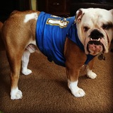 Entry image for Bentley