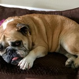 Entry image for Lola Mae